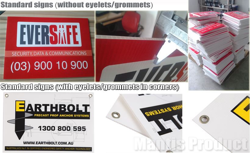 More Details- photos