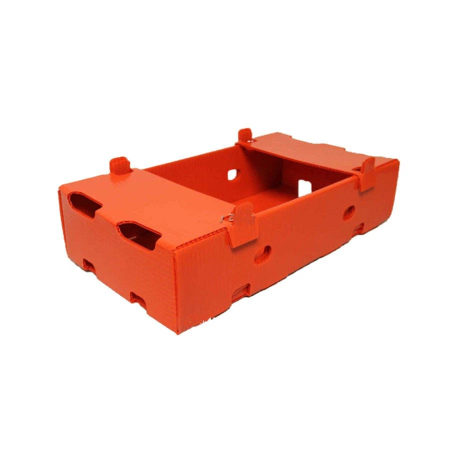 Durable Folding Coroplast Vegetable Boxes suppliers